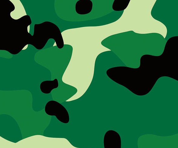 2-Color Color Camouflage.jpg