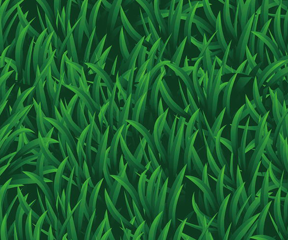 Green Grass.jpg