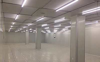 Huizhou Boluo Xinwangda Clean Room.jpg